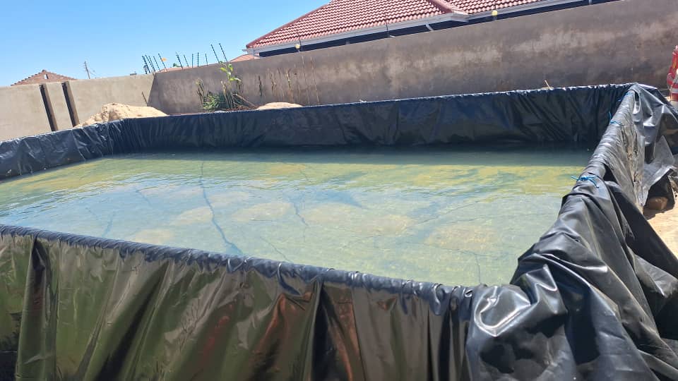 Fish Pond Construction